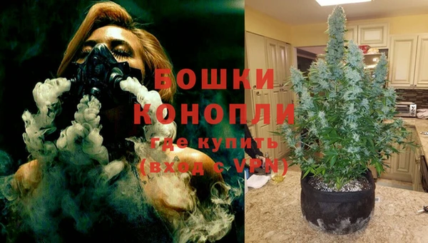 спиды Бронницы