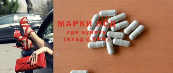 spice Бородино