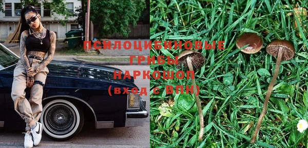 spice Бородино