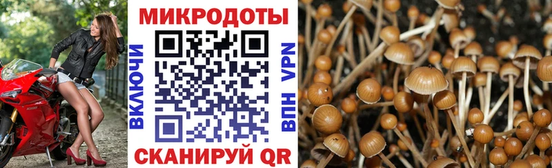 Псилоцибиновые грибы мухоморы  Качканар 